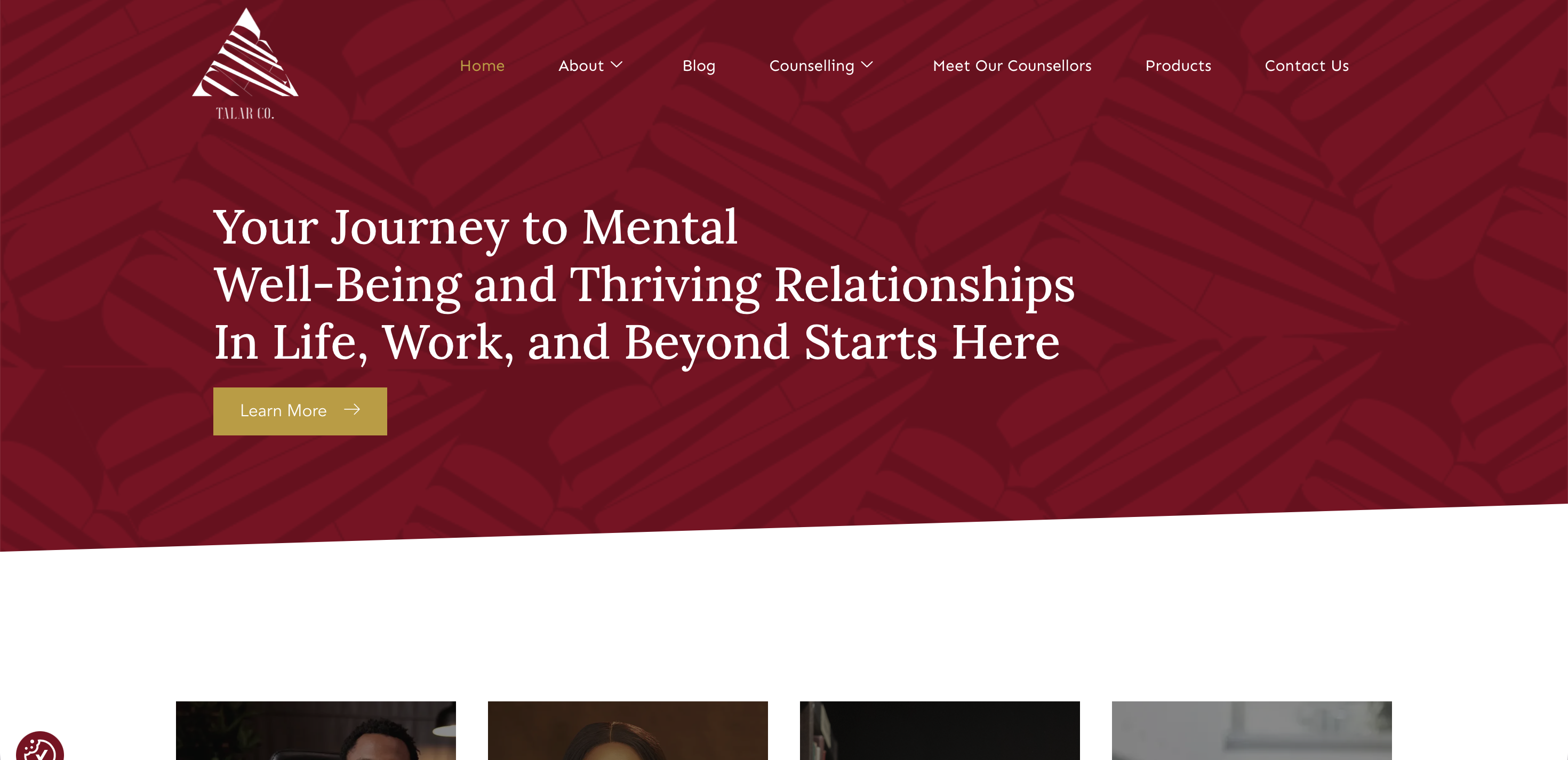 The TALAR Company cover