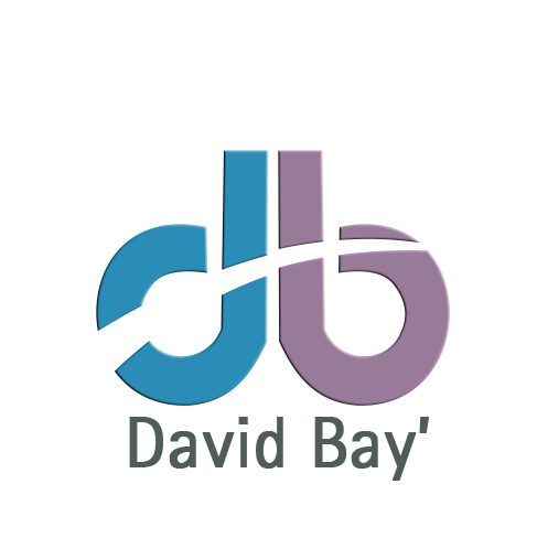 David Bay'